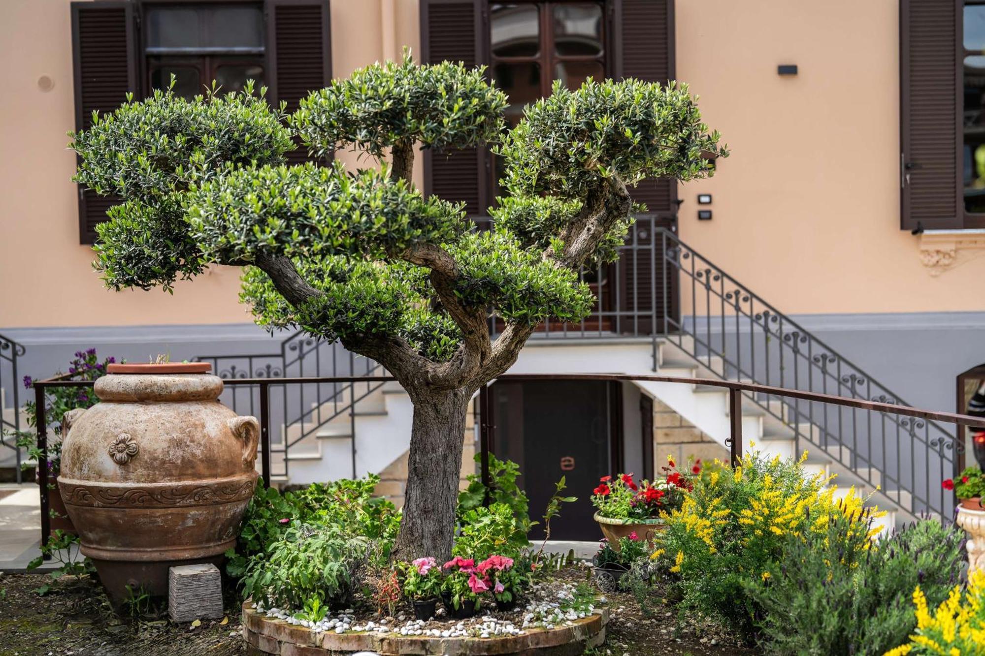 Villa Agostino Luxury B&B Vico Equense Bagian luar foto